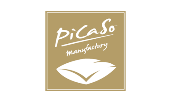 Picaso-m.cz logo